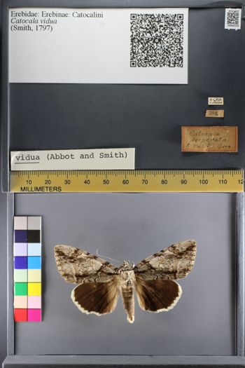 Media type: image;   Entomology 640143